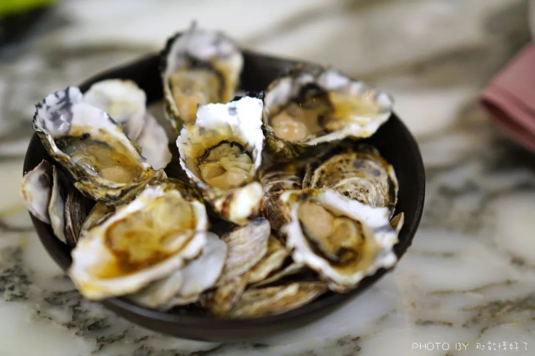 去哪里旅游可以看南极企鹅,旅游攻略南极看企鹅