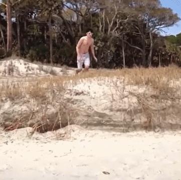 混蛋有什么意思,魂淡是什么梗