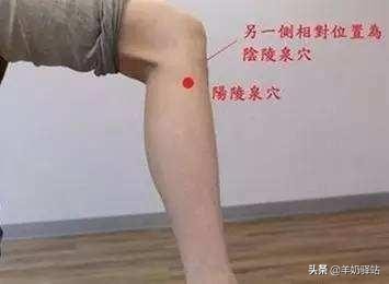 人体十大养生穴位，常按想生病都难