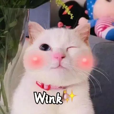 测评10款网红气垫,2022大牌气垫测评红黑榜