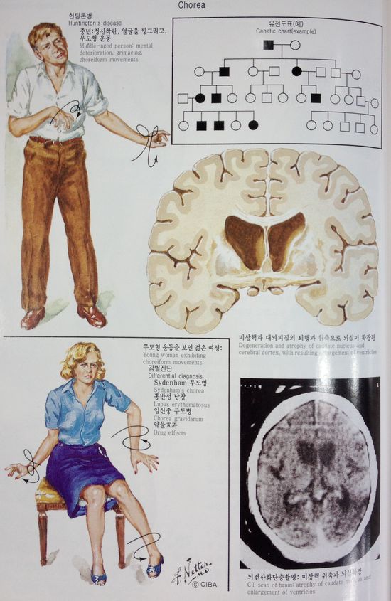 浜ㄥ环椤跨患鍚堢棁鑳芥不濂藉悧,娌荤枟浜ㄥ环椤跨梾鏂拌嵂