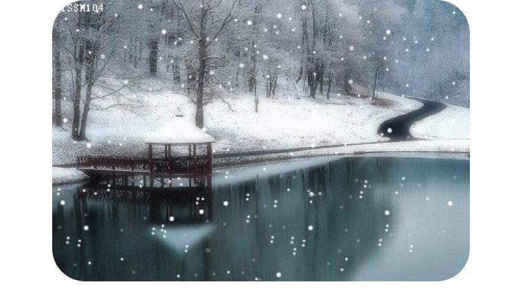 大年廿九风雨交加，在疫情弥散的恐怖中，我毅然走向医院