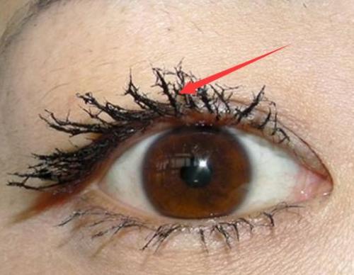 新手学习化妆需要准备什么东西,新手怎样的化妆步骤妆才不会油