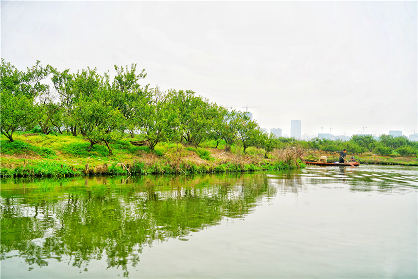 江南水乡旅游攻略四天三晚,温州旅行攻略四天三夜