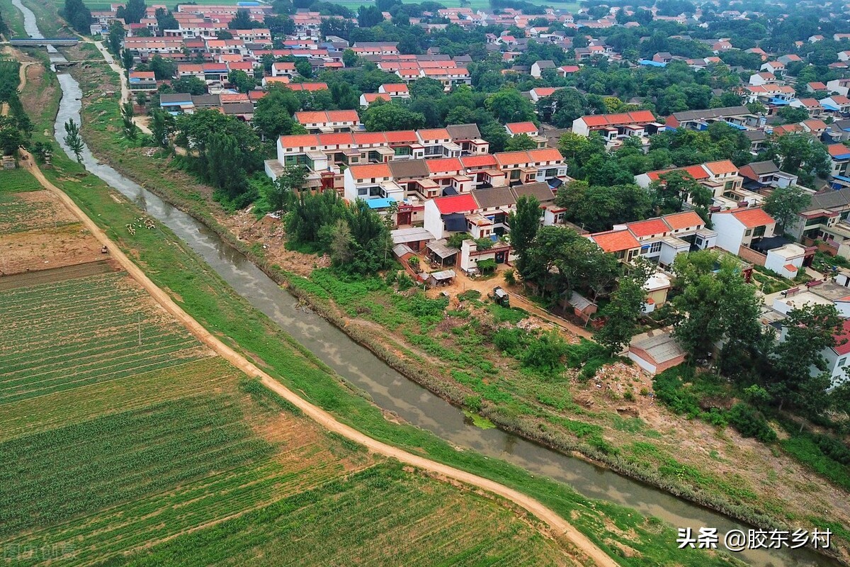 农村赚钱的副业排行榜前十名,现在做什么二手回收比较好