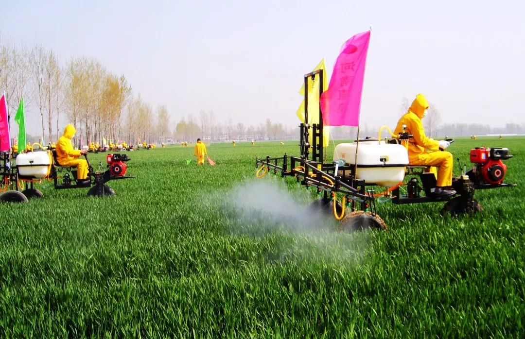 58种杀菌剂图解,杀菌剂都用什么药最好