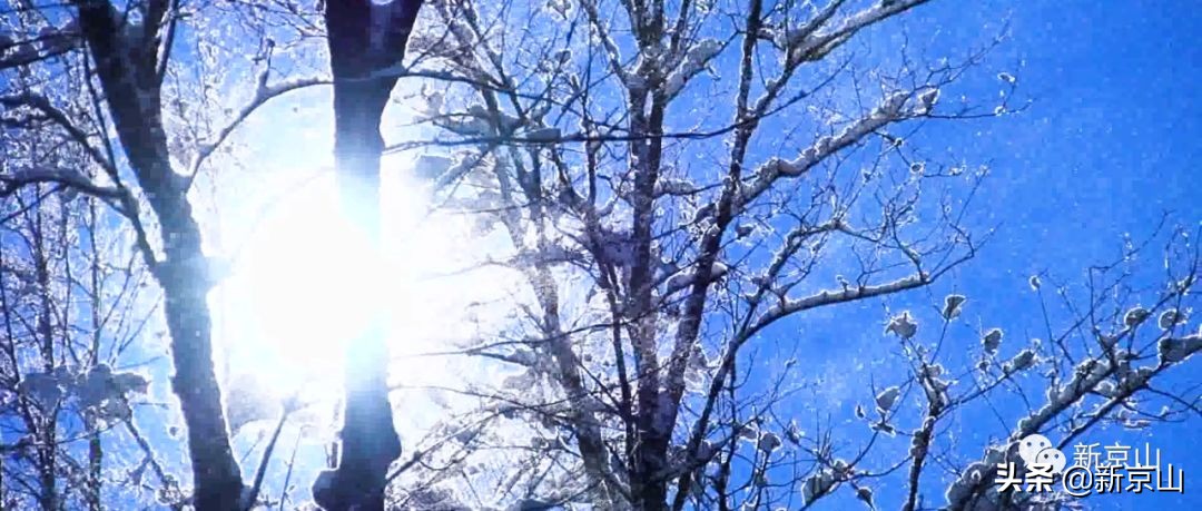 京山凉爽的旅游景点有哪些,生态京山景点