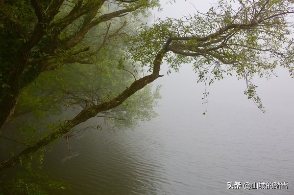 大洪山白龙池,大洪山风景名胜区白龙池