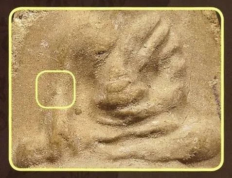 「鉴变」2494普陀耐大模第六莲坛点模