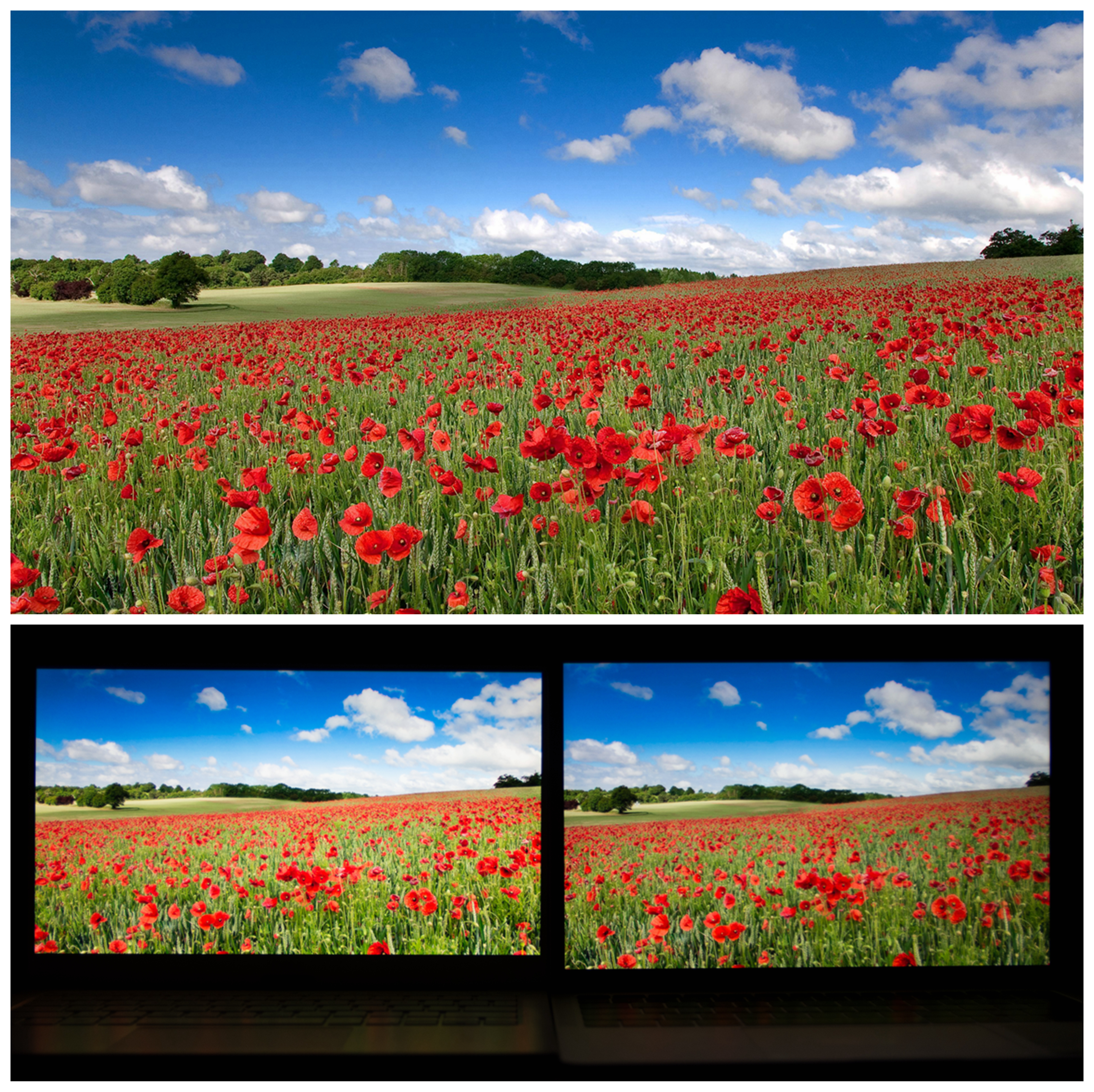 xps13对比macbookair,戴尔xps13对比macbook