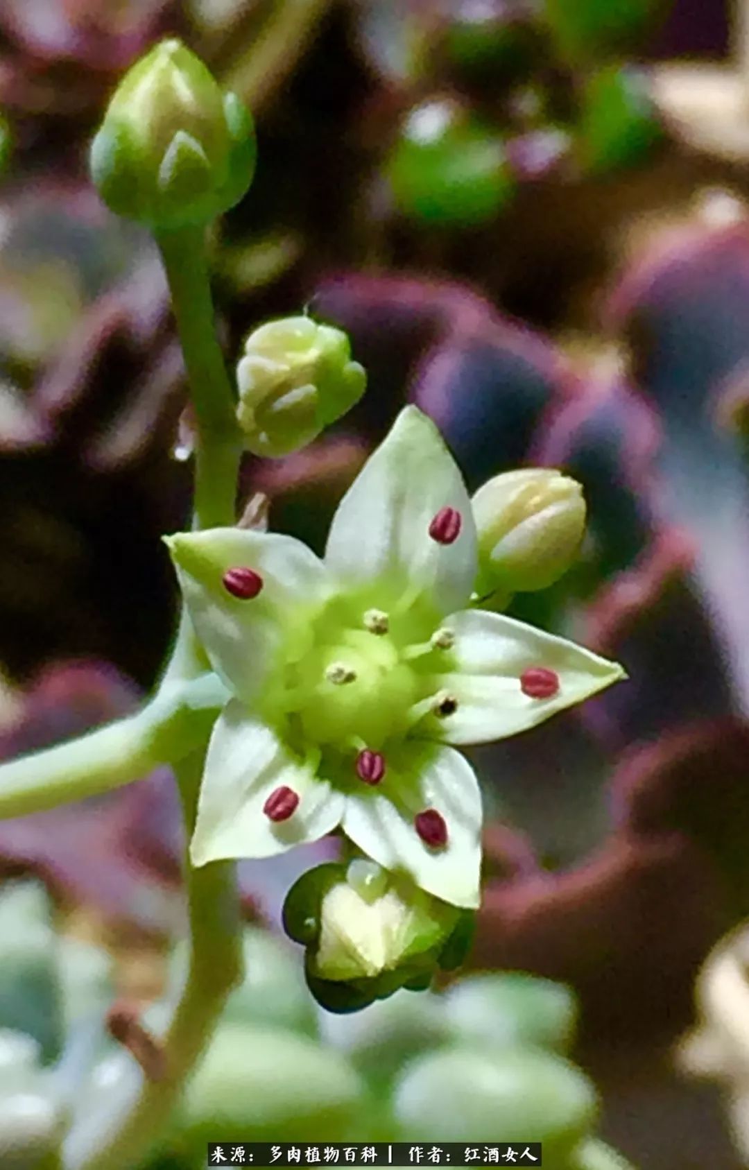 记录走过的美景留下美好的回忆,记录走过的每一段美好时光