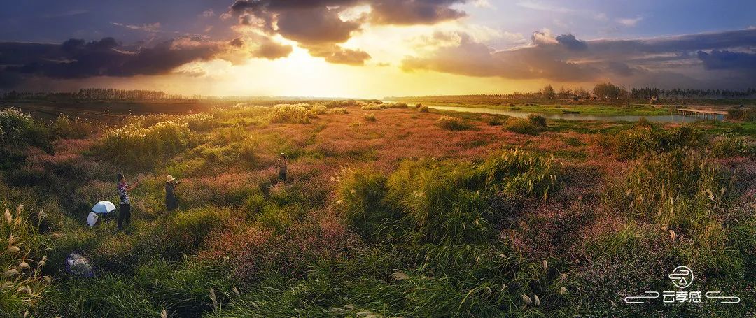 李鸿飞摄影作品初春,李鸿飞画家