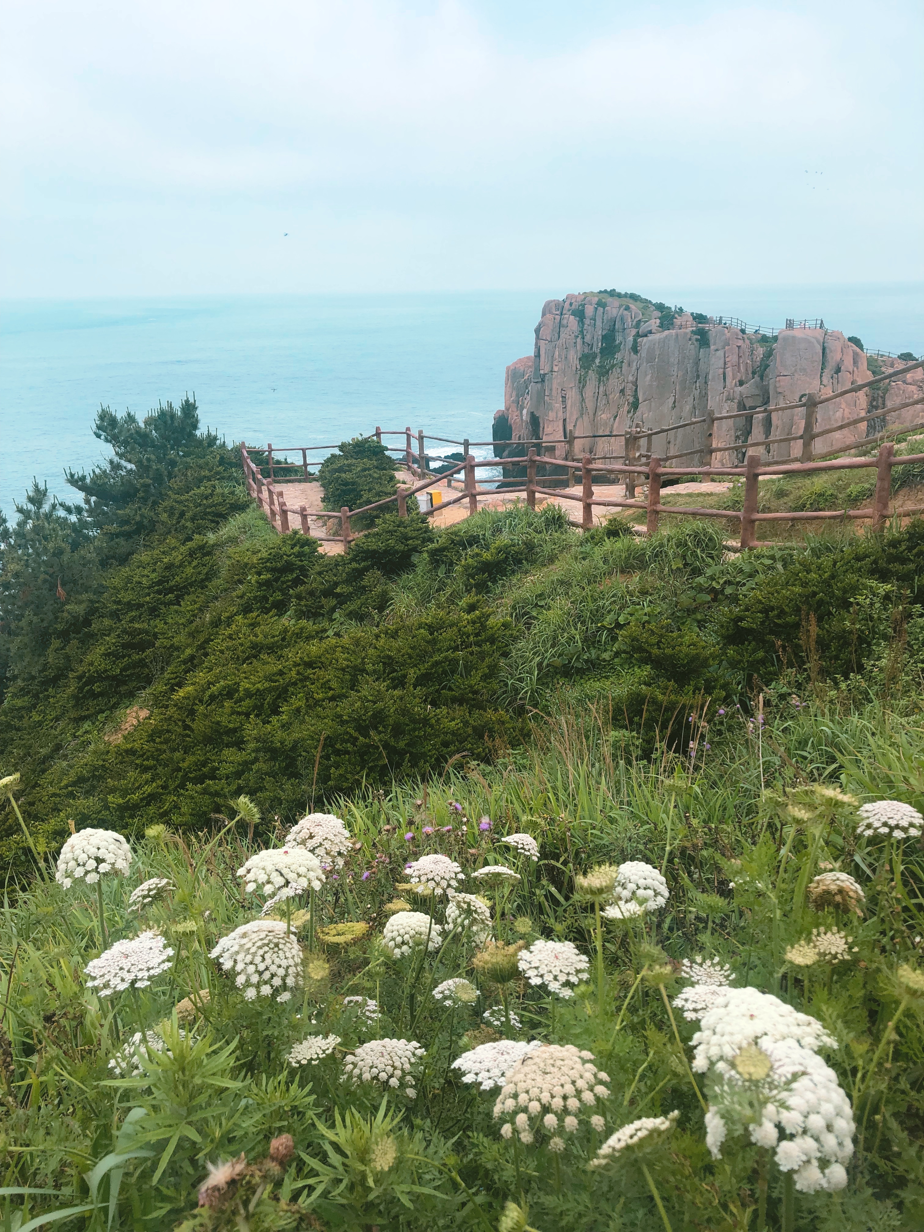 浙东枸杞岛之行 (枸杞岛有哪些精华景点)