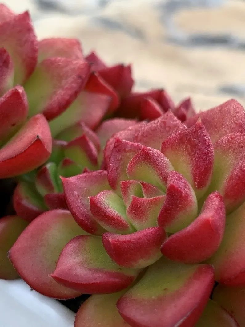 禁足的日子收获颇多,禁足