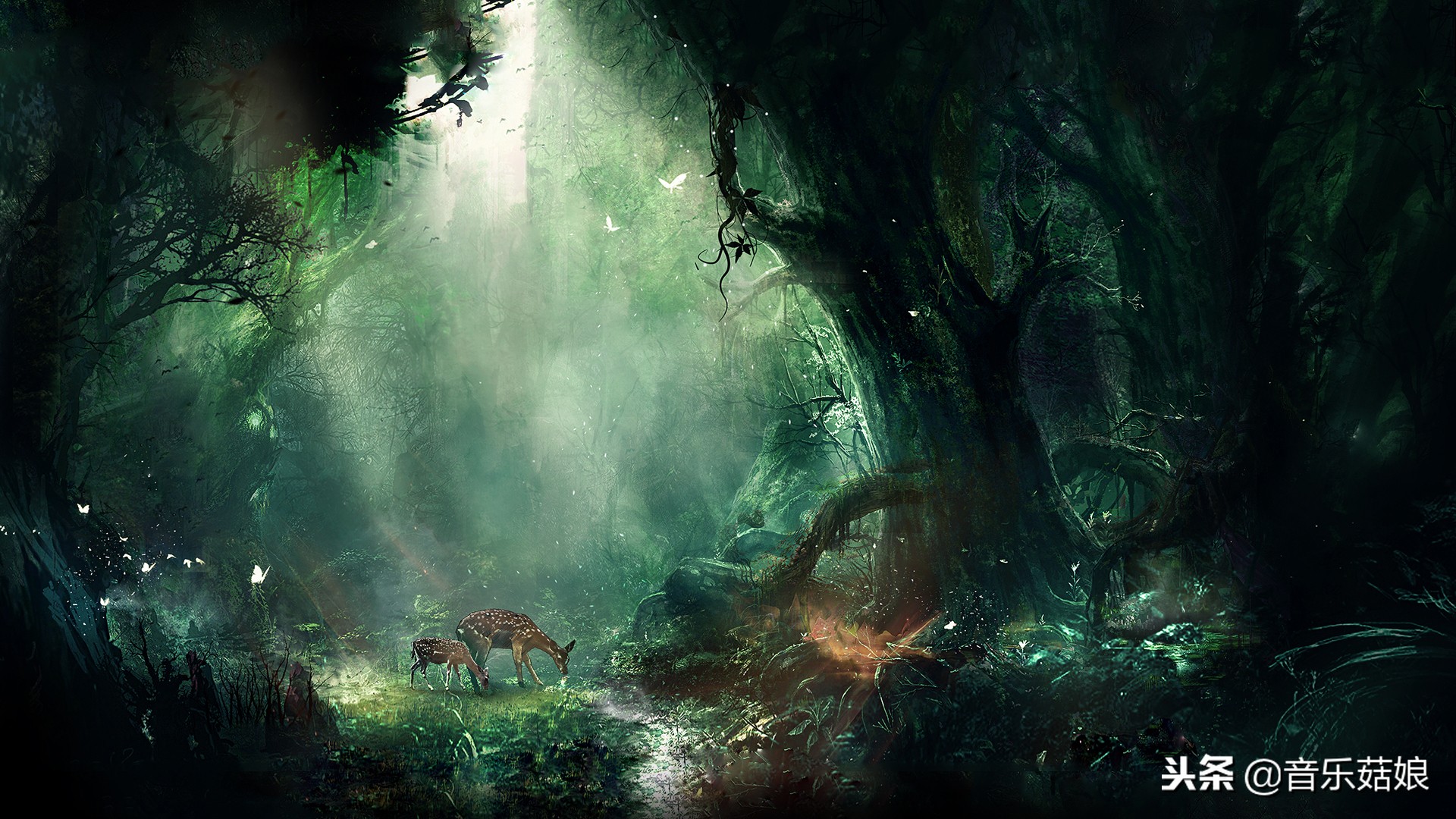 超好听轻音乐100首全集,超好听的7首轻音乐