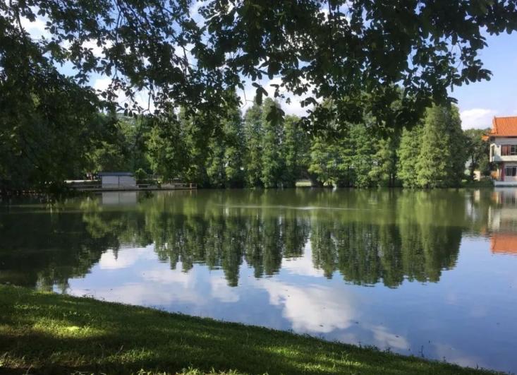 广东专科院校就业率排行榜,广东省的排名前十的专科学校