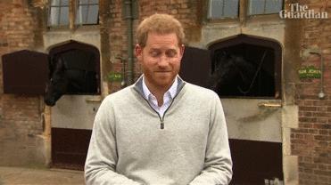 梅根产后首次公开亮相,梅根产后多久恢复身材了