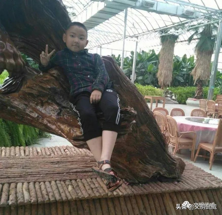 武威市新时代好少年视频,武威新时代好少年