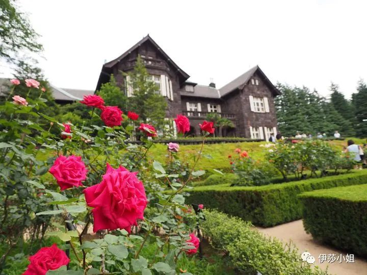 不看樱花能不能进武大,看樱花不一定要去日本的说说