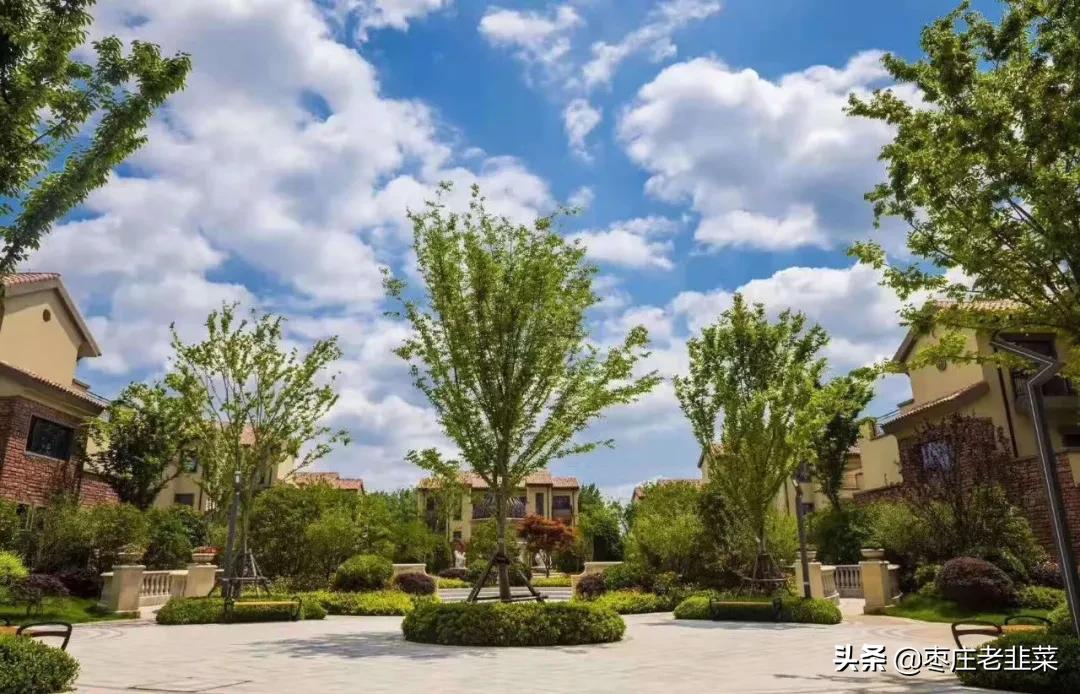 枣庄鸿鑫御景南区洋房,枣庄鸿鑫御景南区视频