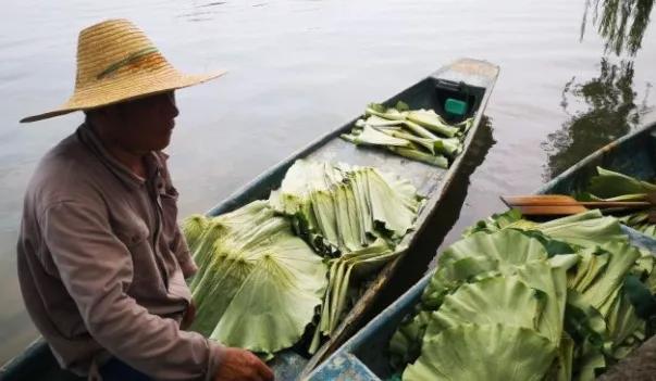 凌晨5点多的西湖,凌晨三点西湖排长队