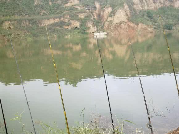 大草鱼钓不到怎么办,大草鱼难钓