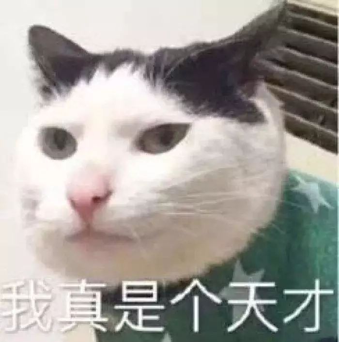 可以代购旅游领队证吗,现在出境游还需要领队证吗