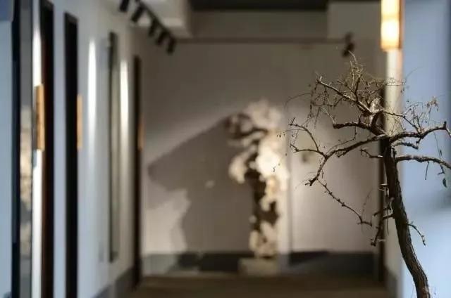 安吉竹海民宿推荐,竹海景观民宿安吉