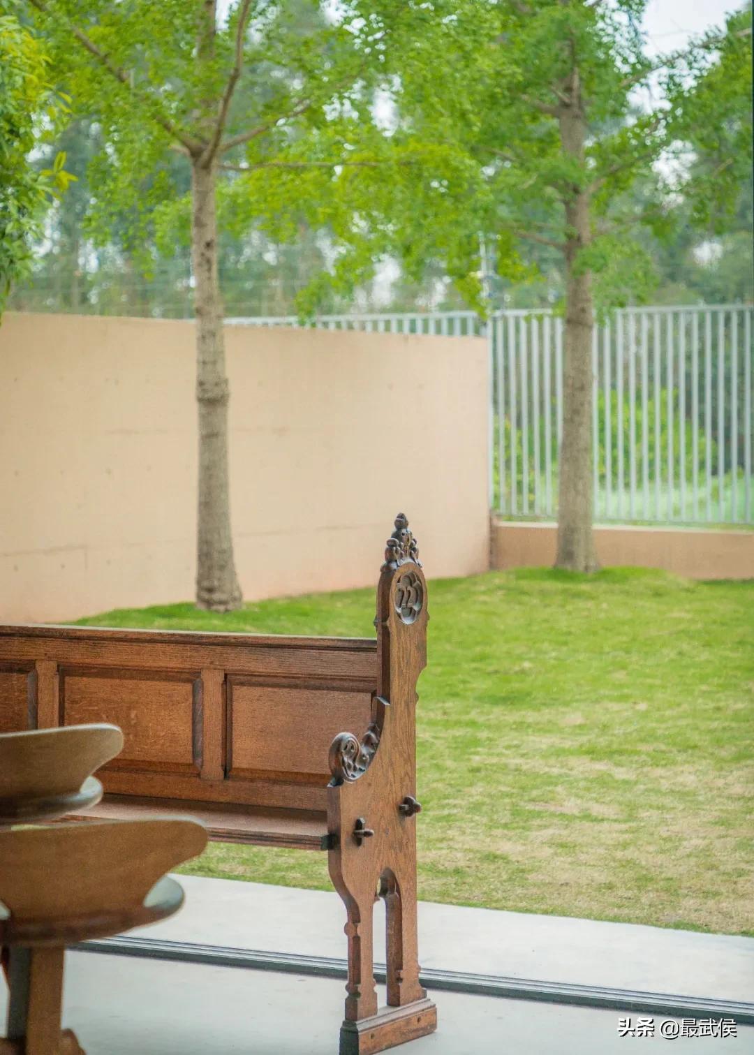 超便宜！成都铁轨下的花市5元买回一个春天！