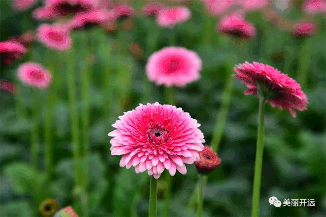 开远市2023年gdp全省排名,开远生产总值