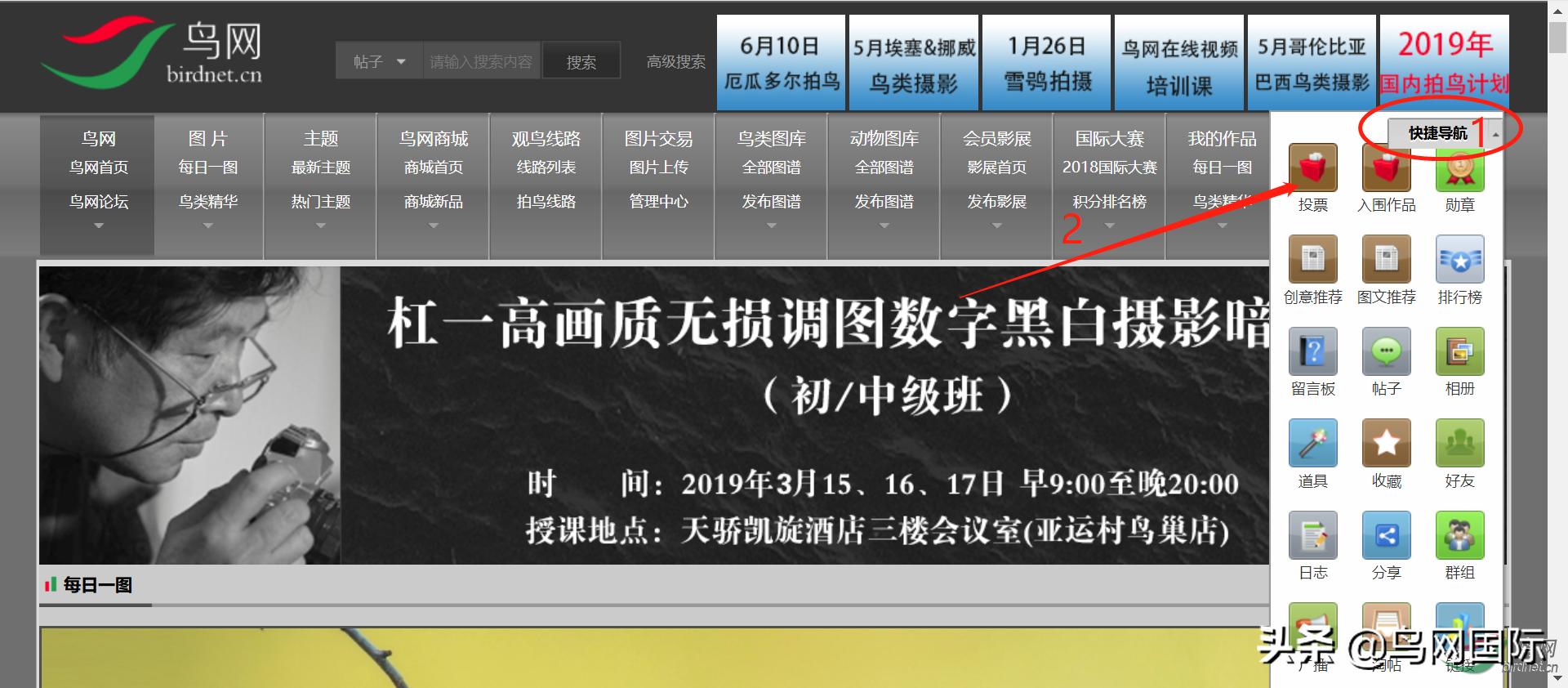 鸟网关于对首页精华图片入选进行投票的通知