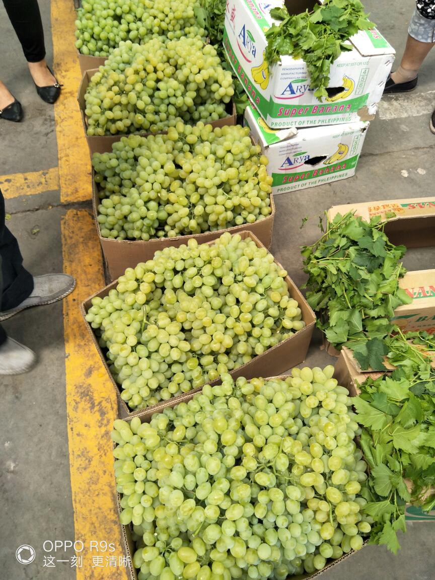 四川姑娘在新疆的生活日常,四川姑娘在南疆记录美好生活