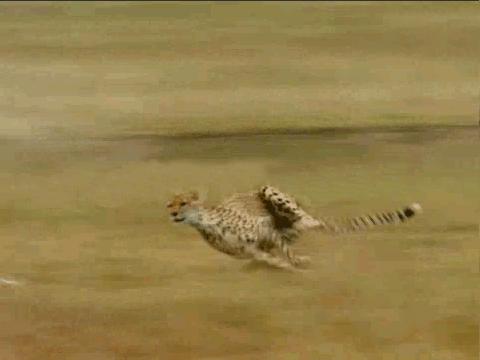 ai大战我的世界,我的世界ai对战指令