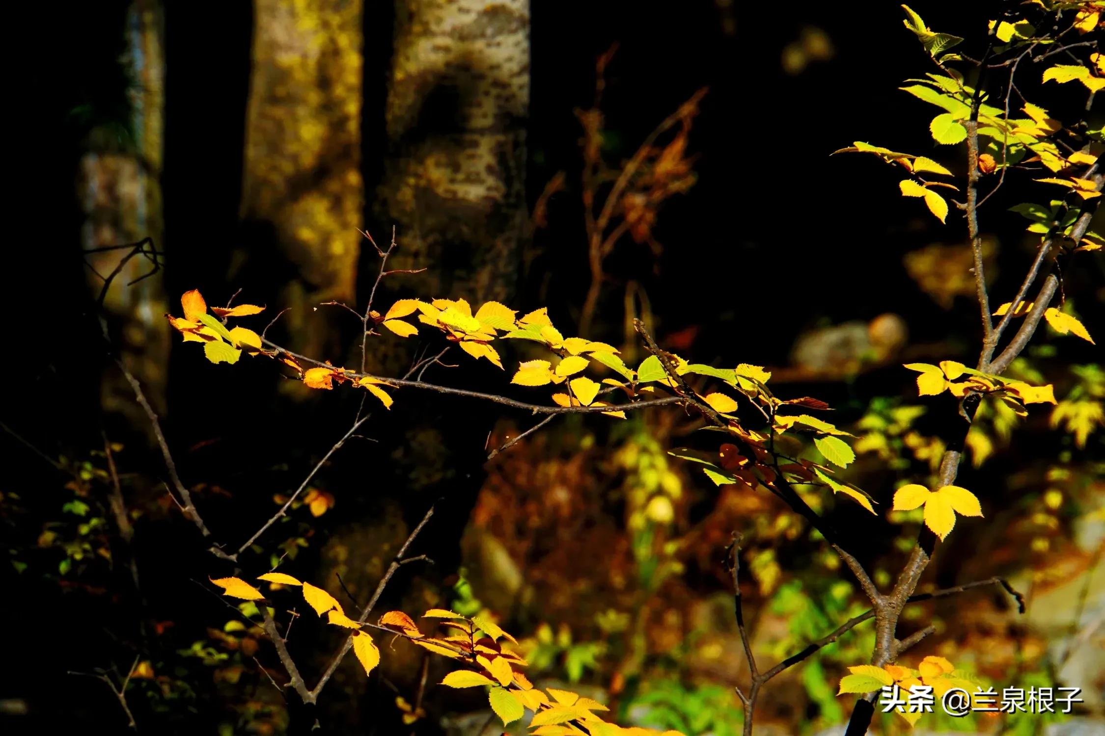 秋天的孟达天池,美丽的孟达天池