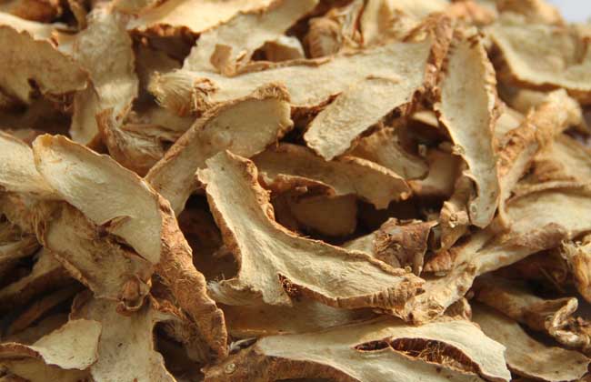 菊花在古代被古人称为什么之一,古代菊花的别称是什么