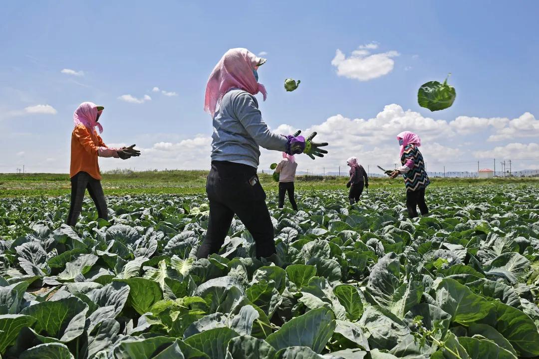 彪炳史册历史性成就,脱贫攻坚彪炳史册