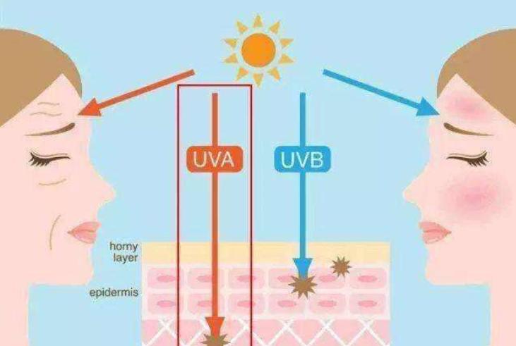 美肤抗初老护肤必选,美肤抗衰老效果