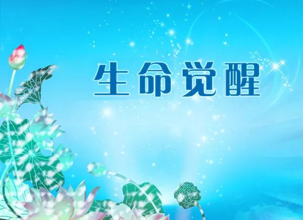 底层人员如何逆袭自己,底层如何逆袭实现阶层跨越