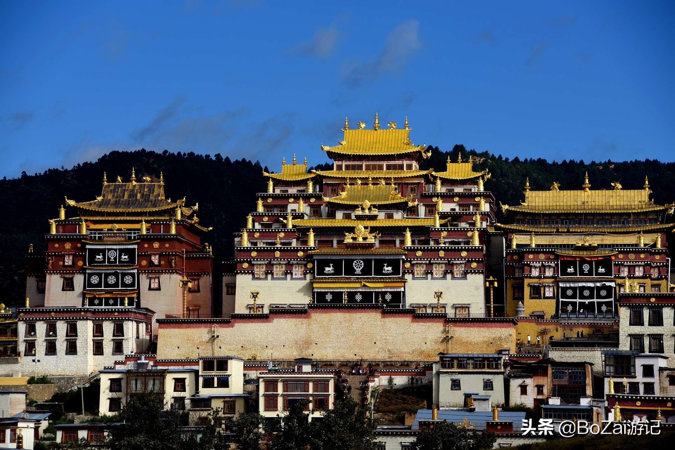 云南迪庆有哪些旅游景点,迪庆最值得去的景点有哪些地方