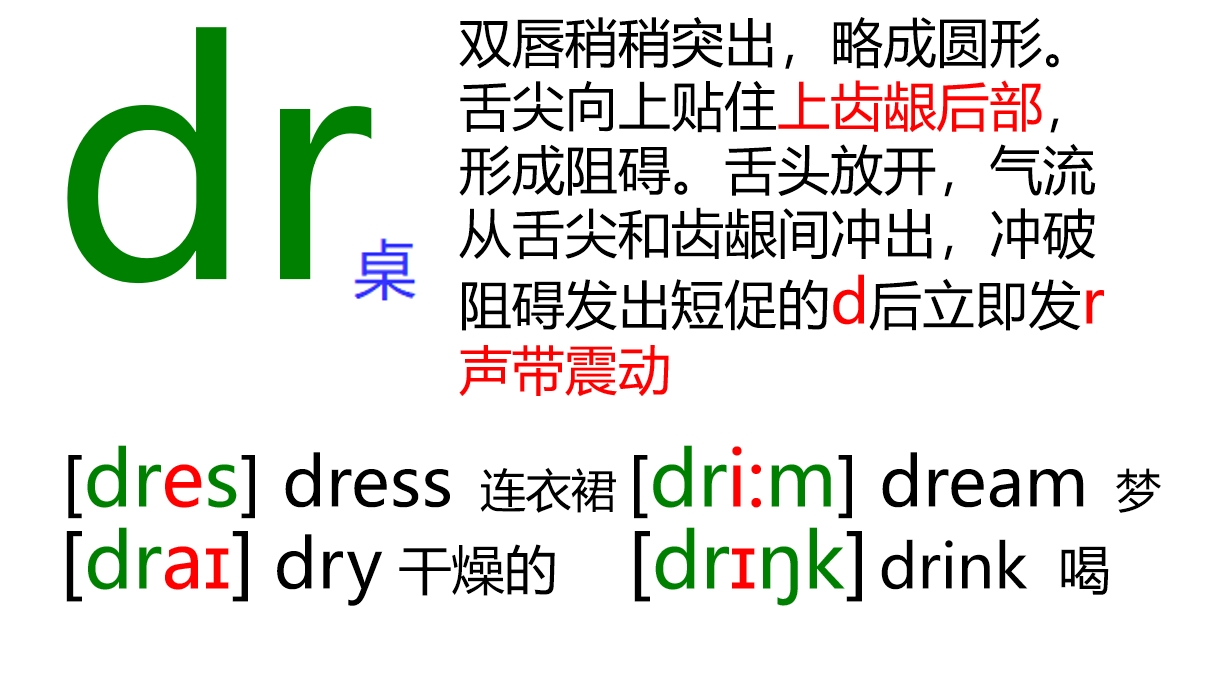 48个音标全套卡片作用,英语音标卡片48个正确发音嘴型