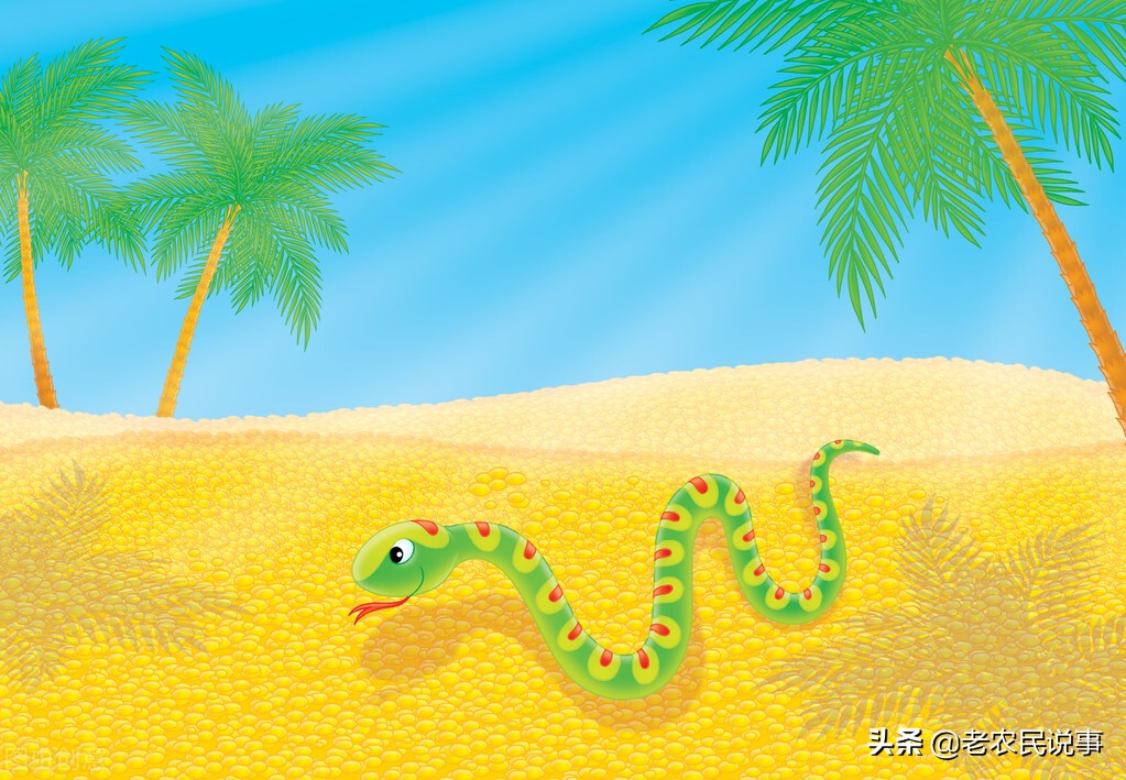 农村房屋有蛇出没，好事还是坏事？用什么方法能避免蛇出现？