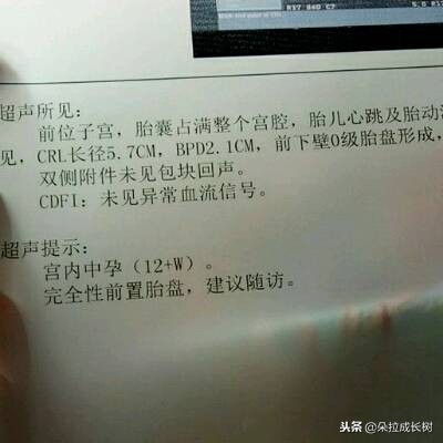 b超单显示后壁是前怀还是后怀,b超单上写了前壁是什么意思