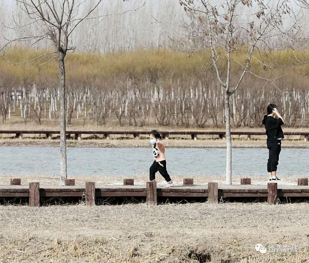 天津北辰郊野公园开放最新通知,天津都有哪些公园随时免费开放