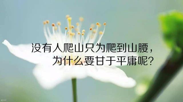 适合发朋友圈的22条心灵鸡汤语录,2019心灵鸡汤霸气语录