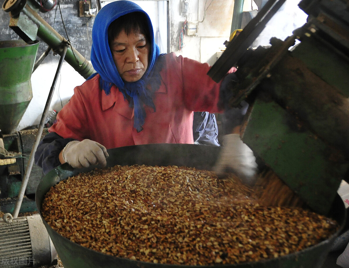 最挣钱的家庭榨油小作坊,开一家榨油坊一年能挣多少钱