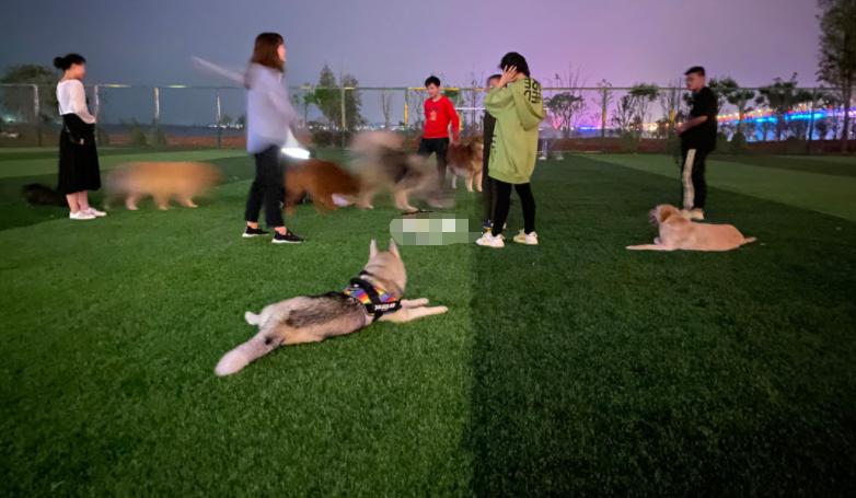 国足永不过时的一张图,为什么说国足虽败犹荣