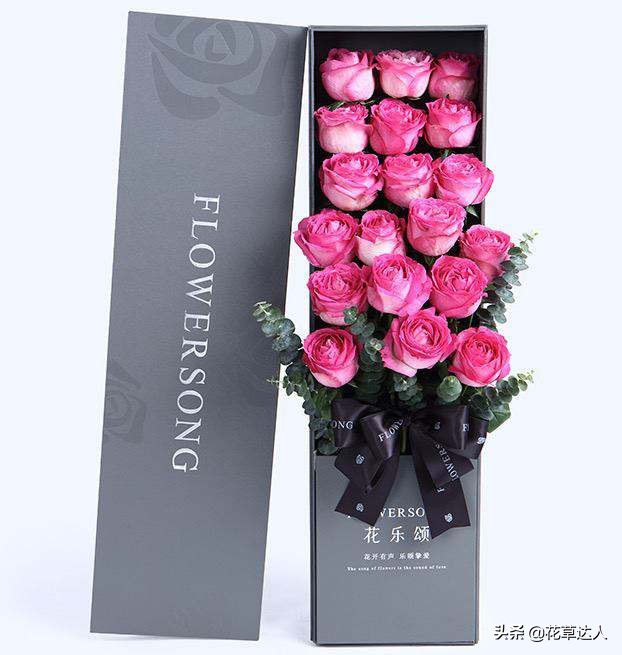 一朵粉色玫瑰3朵白色玫瑰花语,香槟玫瑰泡泡玫瑰的花语