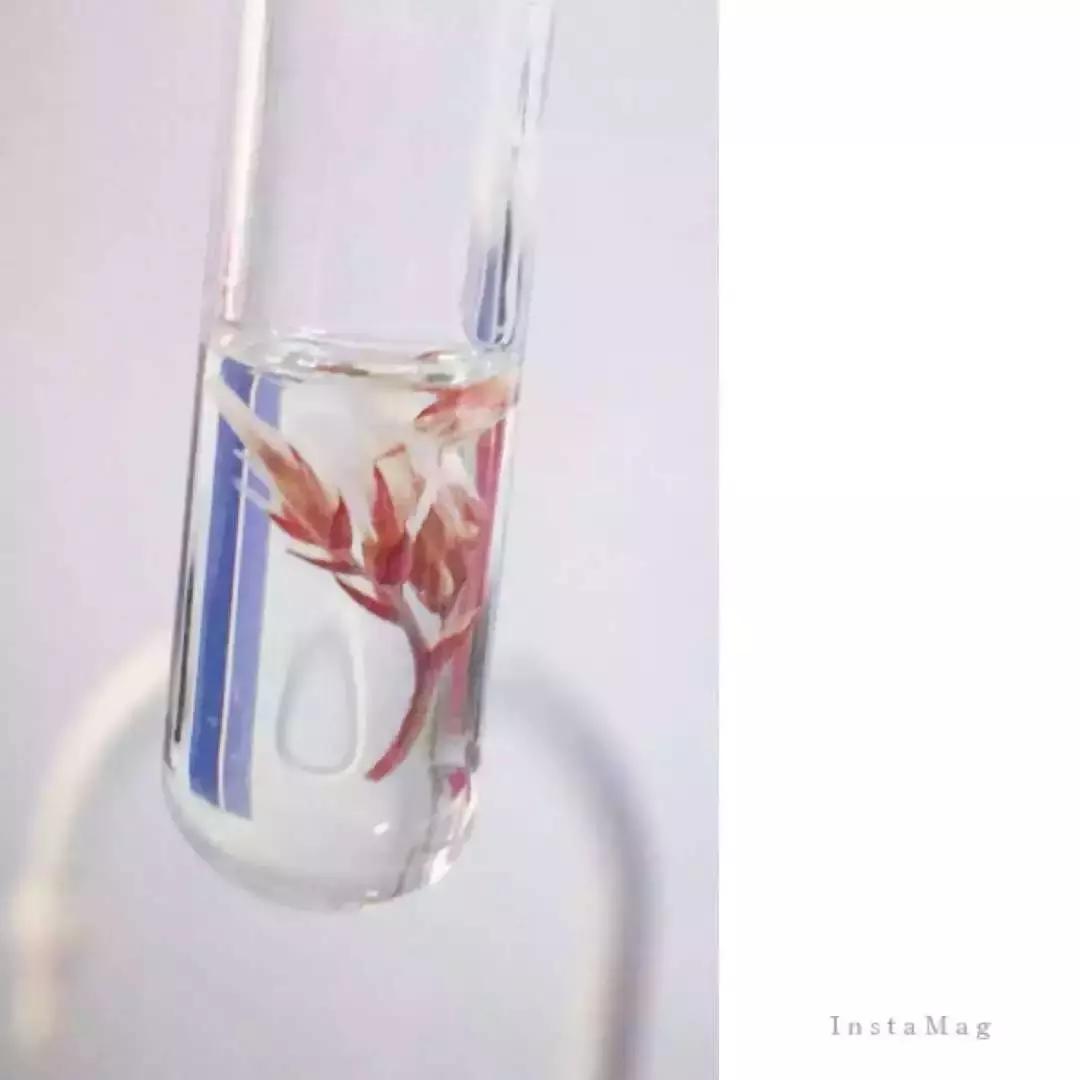 终局之战!!“光影化境”悦昌行杯摄影大赛复赛等你投票~