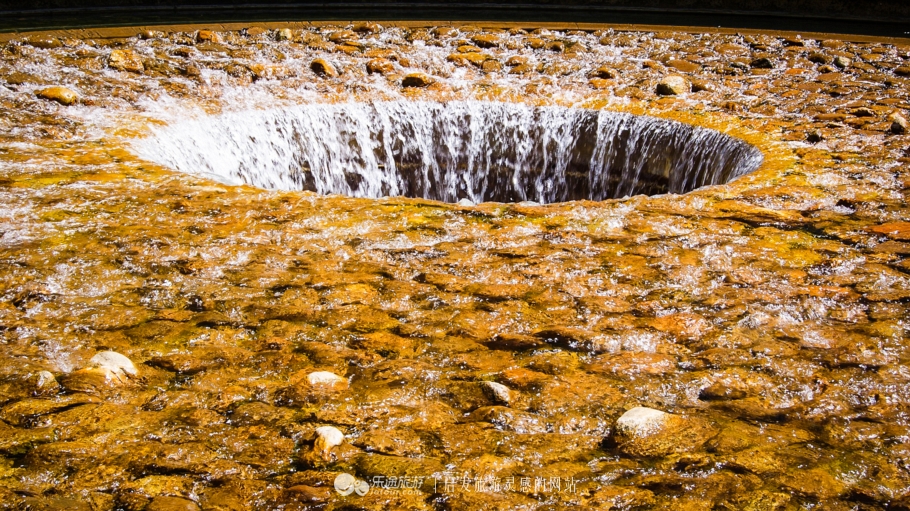 美国加州大学ucla录取条件,ucla加州大学洛杉矶分校女篮