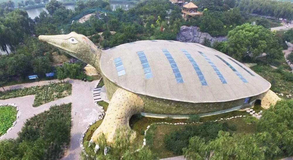 许家印120亿打造莲花形足球场,许家印恒大足球专业足球场